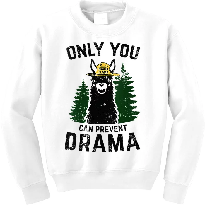 Funny Drama Llama Only You Can Prevent Drama Sarcastic Lover Kids Sweatshirt