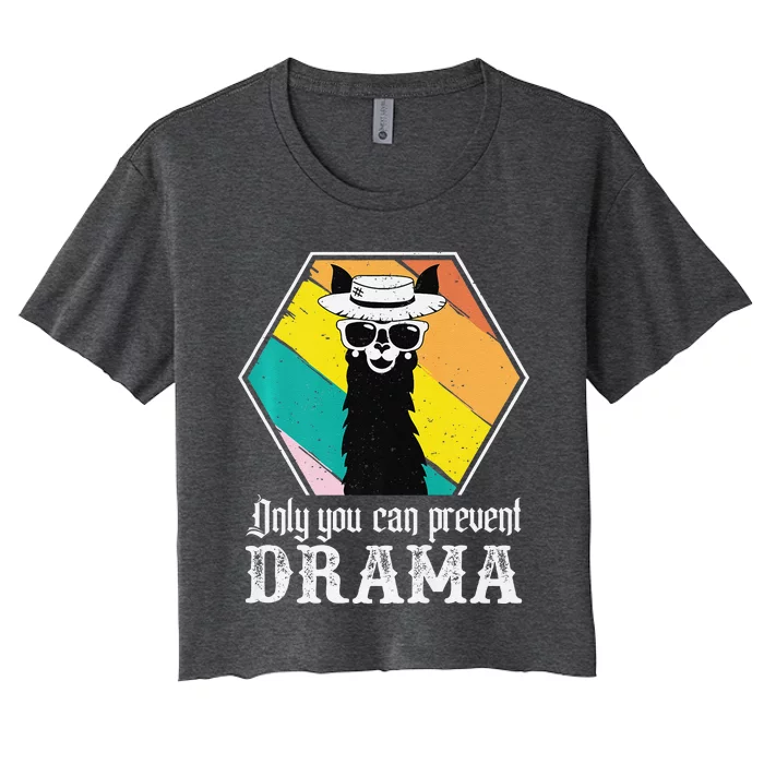 Funny Drama Llama Only You Can Prevent Drama Vintage Llama Premium Women's Crop Top Tee