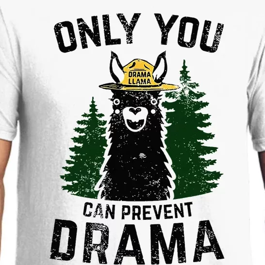 Funny Drama Llama Only You Can Prevent Drama Sarcastic Lover Pajama Set