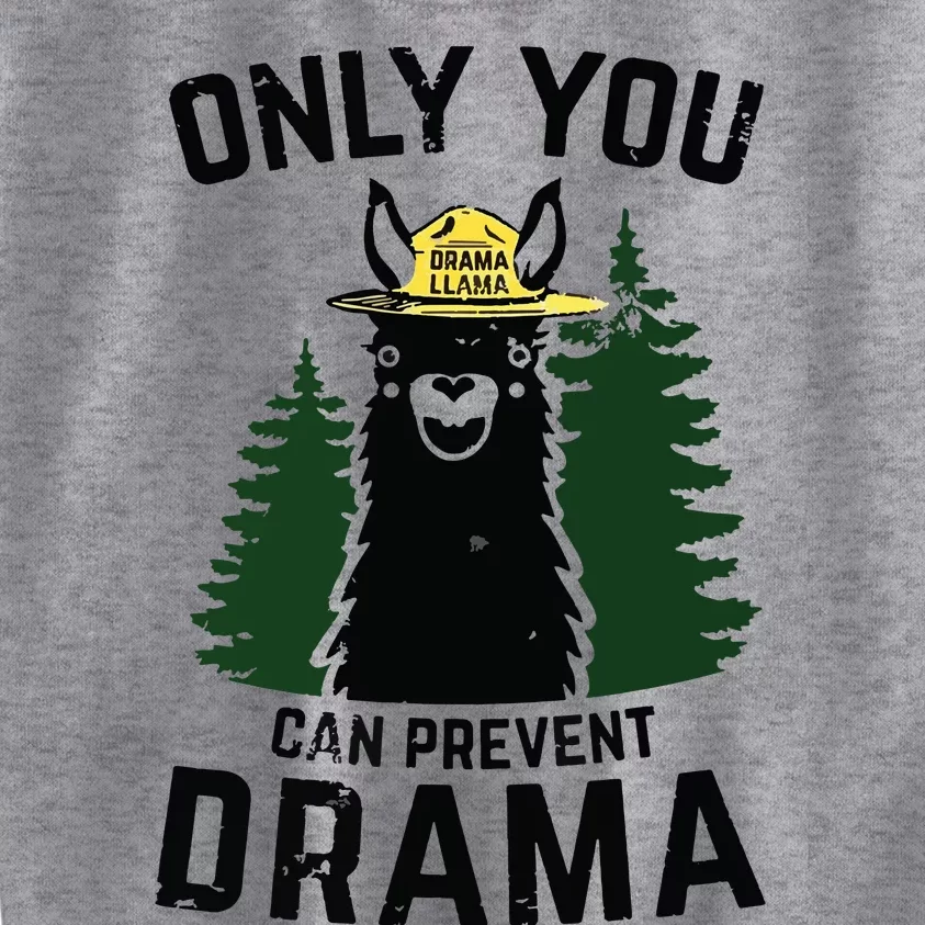 Funny Drama Llama Only You Can Prevent Drama Sarcastic Lover Kids Sweatshirt