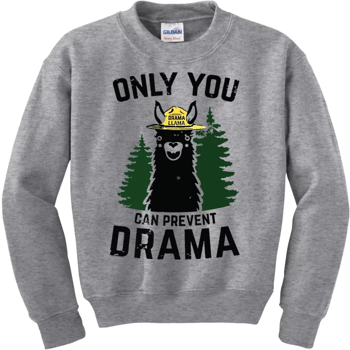 Funny Drama Llama Only You Can Prevent Drama Sarcastic Lover Kids Sweatshirt