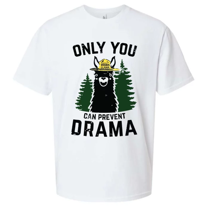 Funny Drama Llama Only You Can Prevent Drama Sarcastic Lover Sueded Cloud Jersey T-Shirt