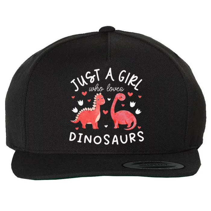 funny Dinosaur Lover Tee Dino Wool Snapback Cap