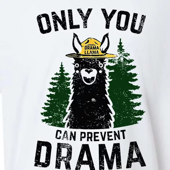 Funny Drama Llama Only You Can Prevent Drama Sarcastic Lover Sueded Cloud Jersey T-Shirt