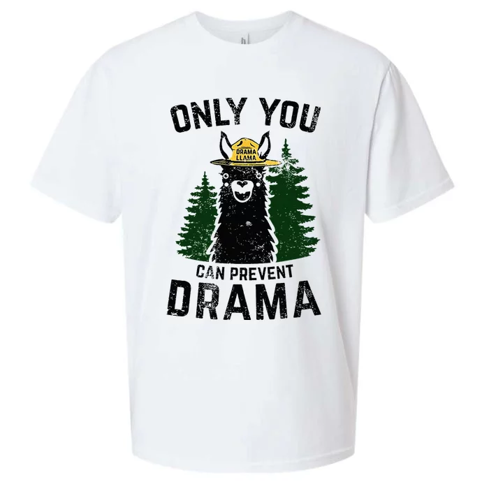 Funny Drama Llama Only You Can Prevent Drama Sarcastic Lover Sueded Cloud Jersey T-Shirt