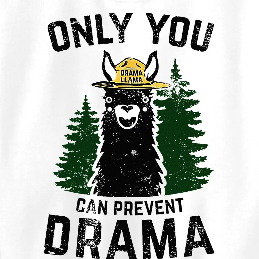 Funny Drama Llama Only You Can Prevent Drama Sarcastic Lover Kids Sweatshirt