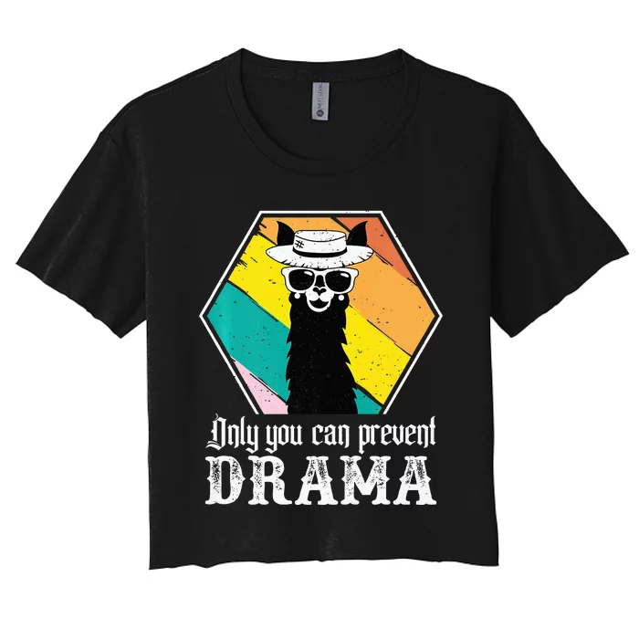 Funny Drama Llama Only You Can Prevent Drama Vintage Llama Women's Crop Top Tee