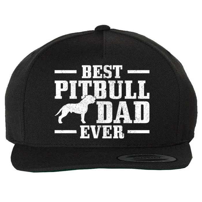 Funny Dog Owner Vintage Pitbull Gift Wool Snapback Cap