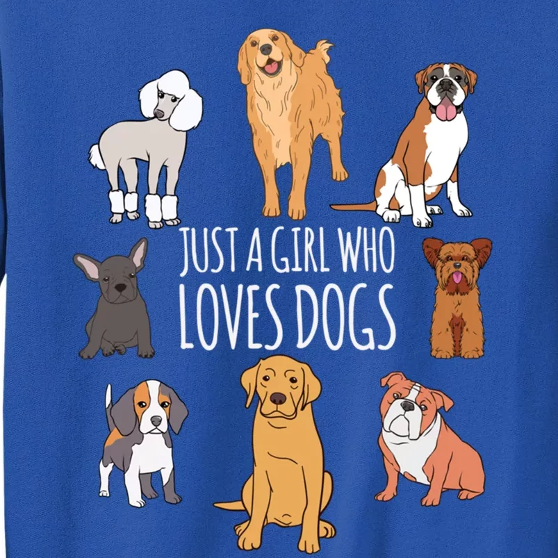 Fun Dog Puppy Lover Themed Cute Just A Girl Who Loves Dogs Cool Gift Sweatshirt