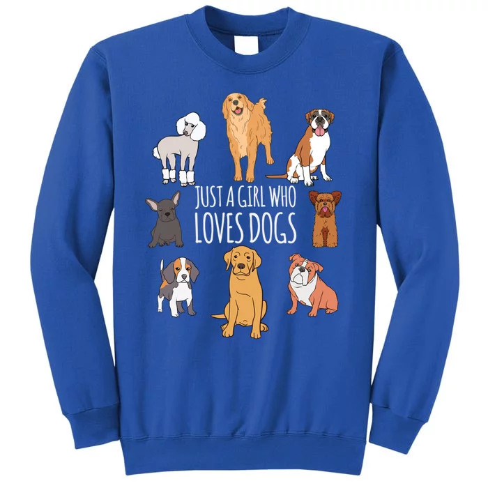 Fun Dog Puppy Lover Themed Cute Just A Girl Who Loves Dogs Cool Gift Sweatshirt