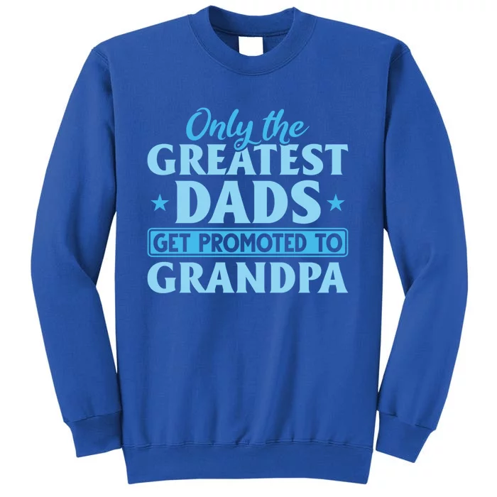 Funny Dad Promoted To Grandpa Best Dads Promoted To Grandpa Meaningful Gift Tall Sweatshirt