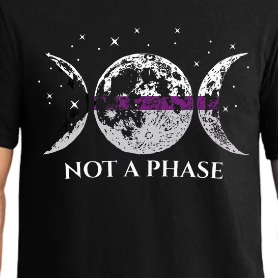 Funny Demisexual Pride Flag Not A Phase Pajama Set