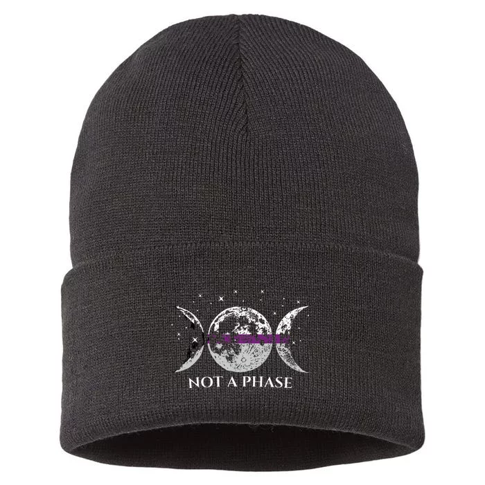 Funny Demisexual Pride Flag Not A Phase Sustainable Knit Beanie