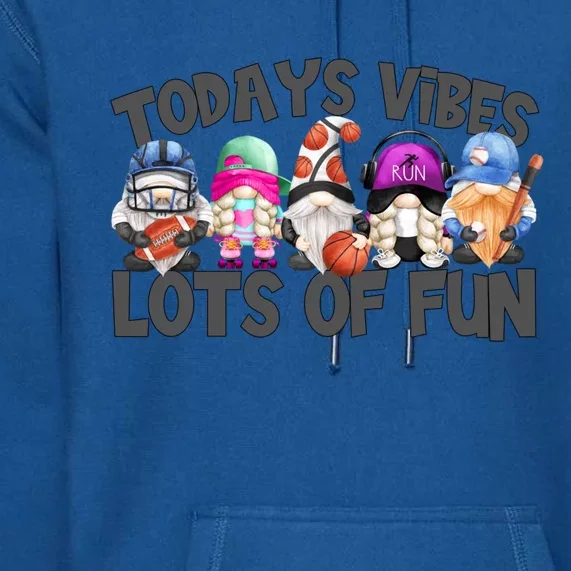 Field Day Quote Todays Vibes Lots Of Fun Gnomies Gift Premium Hoodie