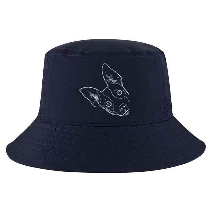 Funny Dog Rat Terrier Cool Comfort Performance Bucket Hat