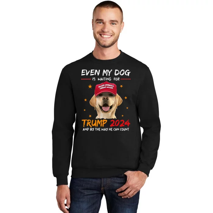 Funny Dog Saying Lover Even My Dog Is Waiting For Trump 2024 Sweatshirt