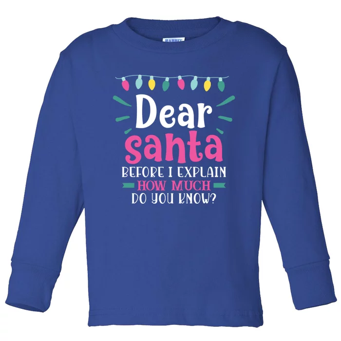 Funny Dear Santa Cute Gift Toddler Long Sleeve Shirt