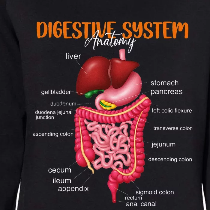 Funny Digestive System Anatomy Anatomical Biology Teacher Womens California Wash Sweatshirt