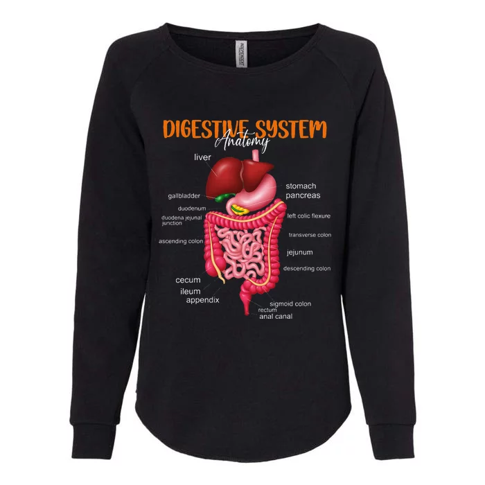 Funny Digestive System Anatomy Anatomical Biology Teacher Womens California Wash Sweatshirt