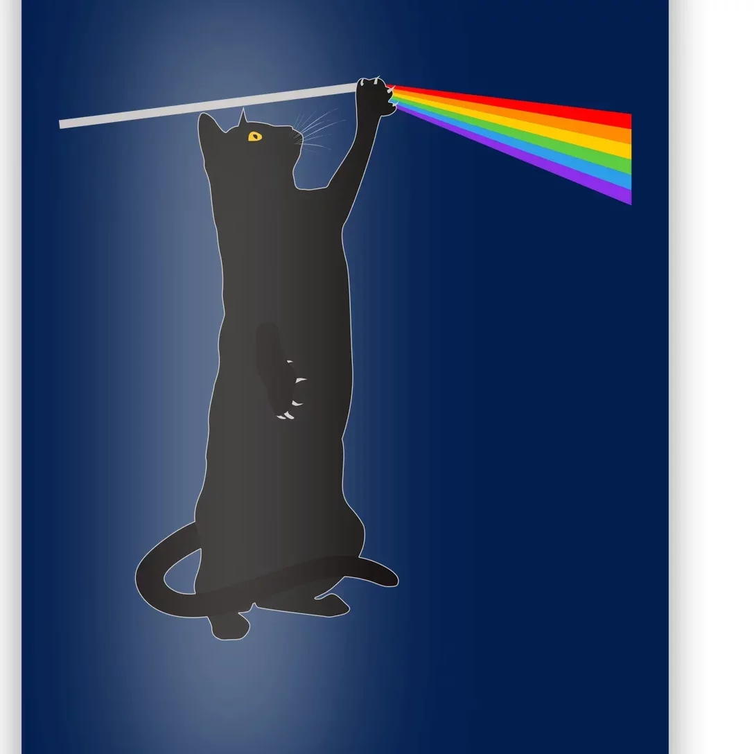 Funny Dark Side Of The Cat Poster