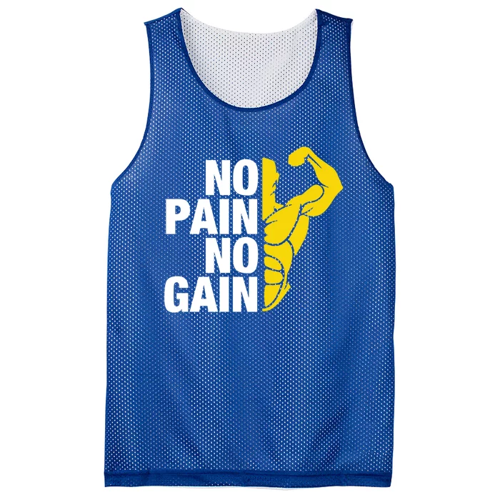 Funny Distressed Strong Gym Gift No Pain No Gain Gift Mesh Reversible Basketball Jersey Tank