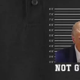 Free Donald Trump Mug Shot Republican President MAGA 2024 Dry Zone Grid Performance Polo