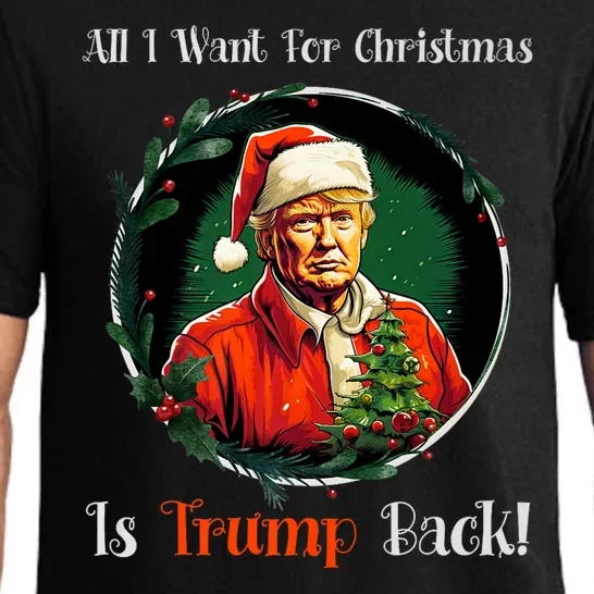 Funny Donald Trump Mug Shot All I Want For Christmas 2024 Premium Pajama Set