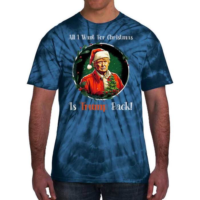 Funny Donald Trump Mug Shot All I Want For Christmas 2024 Premium Tie-Dye T-Shirt