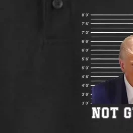 Free Donald Trump Mug Shot Republican President MAGA 2024 Dry Zone Grid Performance Polo