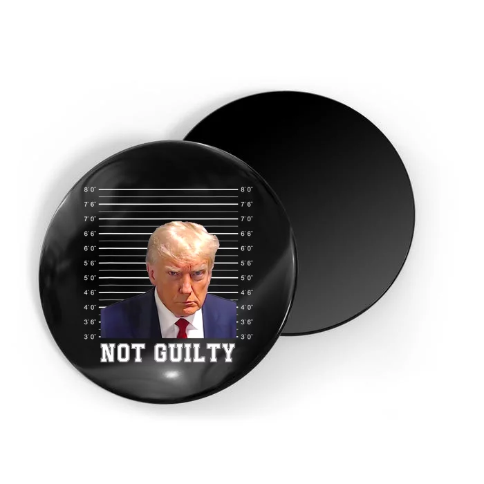 Free Donald Trump Mug Shot Republican President MAGA 2024 Magnet