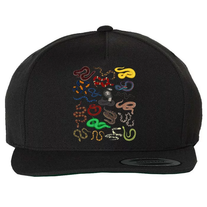 funny Different Types of Snakes Snake Wool Snapback Cap