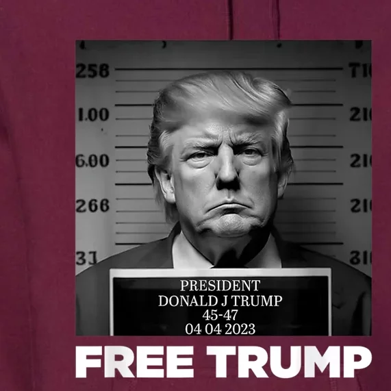 Free Donald Trump Mugshot Premium Hoodie