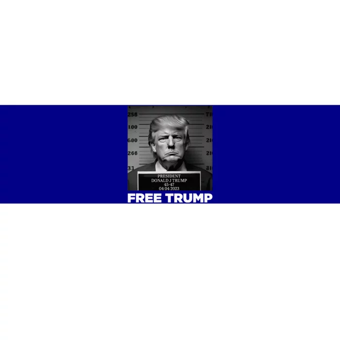 Free Donald Trump Mugshot Bumper Sticker