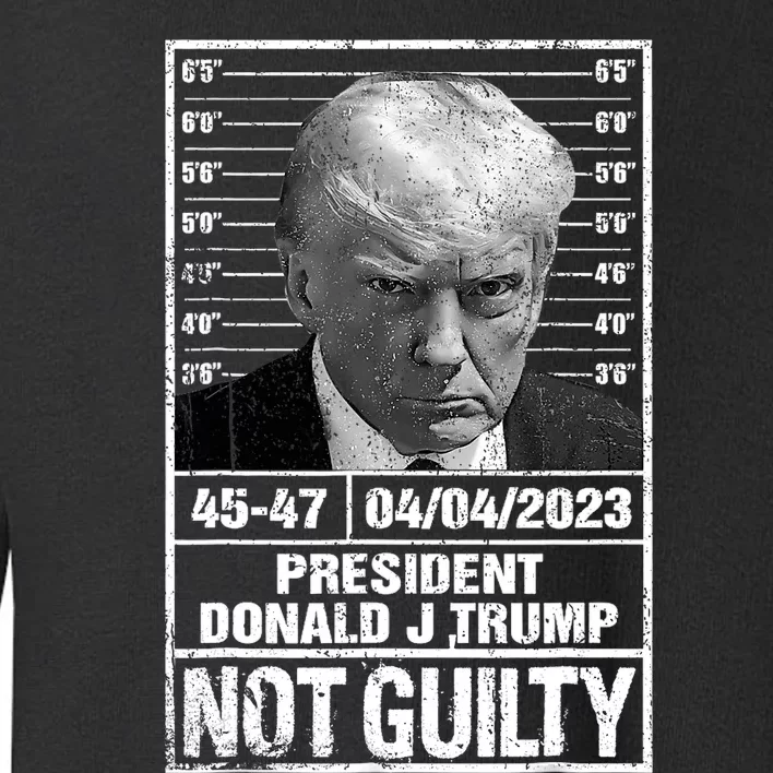 Free Donald Trump Mug Shot Republican President MAGA 2024 Toddler Sweatshirt