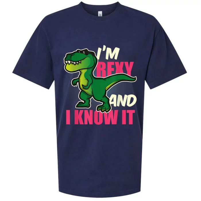 Funny Dinosaur T Rex For Children And Adults Sueded Cloud Jersey T-Shirt