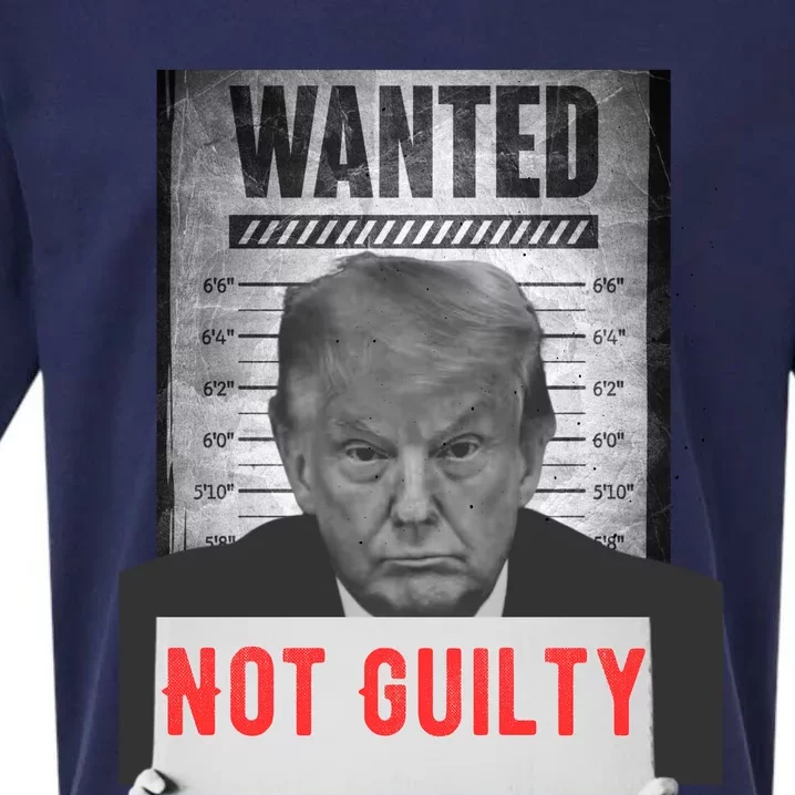 Funny Donald Trump Not Guilty Mug Shot Free Trump 2024 Sueded Cloud Jersey T-Shirt