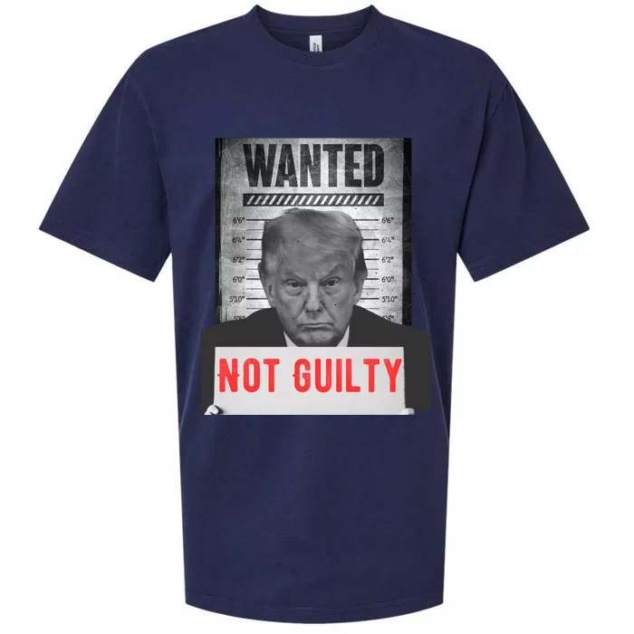 Funny Donald Trump Not Guilty Mug Shot Free Trump 2024 Sueded Cloud Jersey T-Shirt