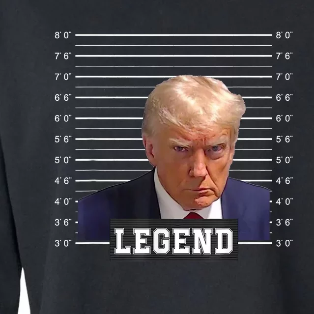 Free Donald Trump Mug Shot Republican President MAGA 2024 Cropped Pullover Crew