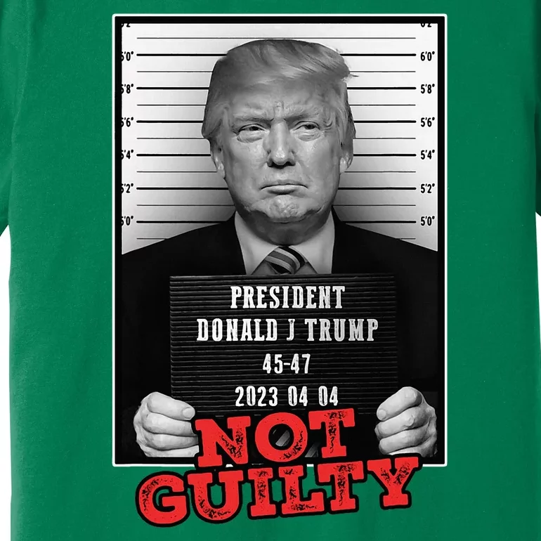 Funny Donald Trump Not Guilty Mug Shot Free Trump 2024 Premium T-Shirt