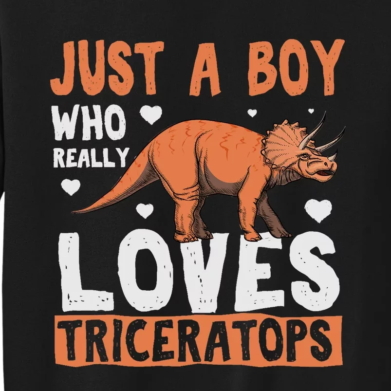 Funny Dinosaur Triceratops for boy Sweatshirt