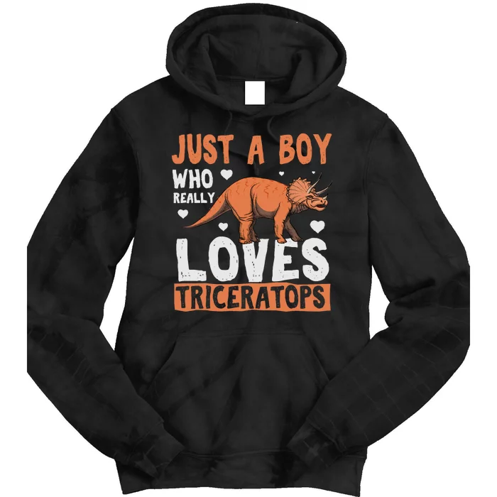 Funny Dinosaur Triceratops for boy Tie Dye Hoodie