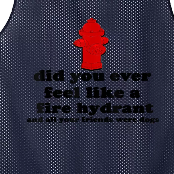 Funny Did You Ever Feel Like A Fire Hydrant Mesh Reversible Basketball Jersey Tank