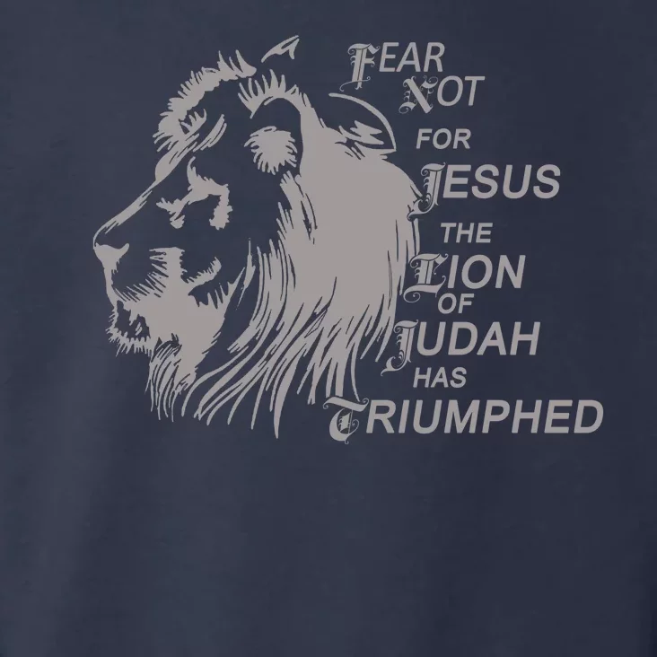 Fear Not For Jesus The Lion Of Judah Has Triumphed Toddler Hoodie