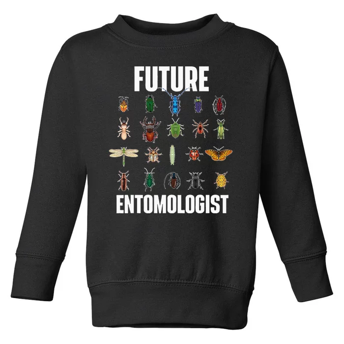 Future Entomologist Entomology Insect Lover Bug Collector Toddler Sweatshirt