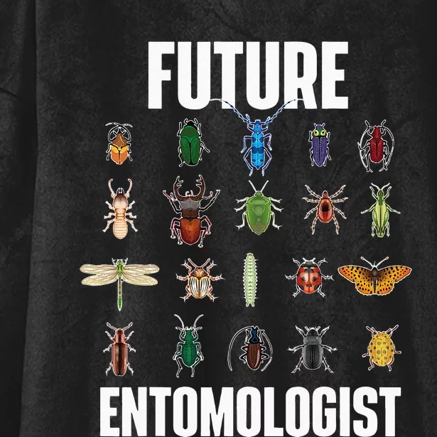 Future Entomologist Entomology Insect Lover Bug Collector Hooded Wearable Blanket