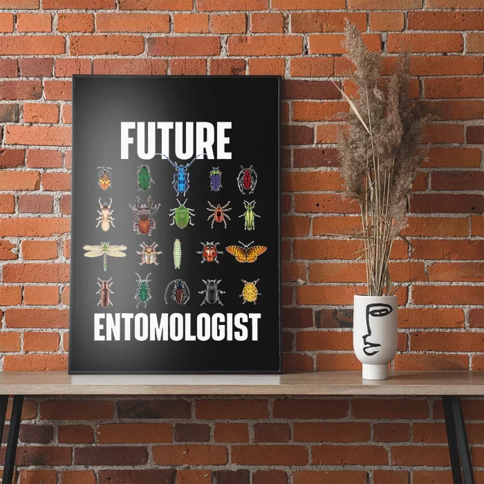 Future Entomologist Entomology Insect Lover Bug Collector Poster