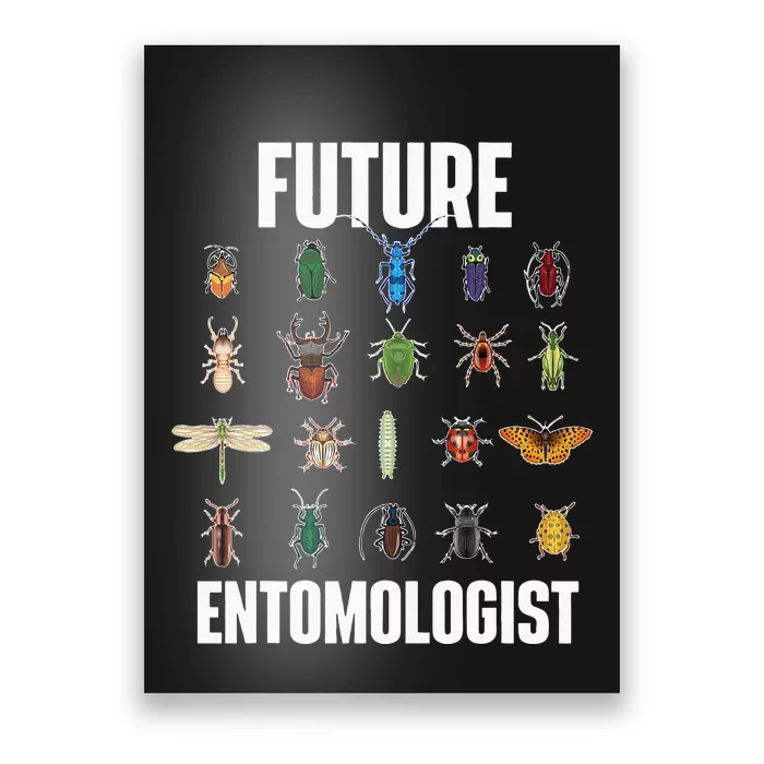 Future Entomologist Entomology Insect Lover Bug Collector Poster