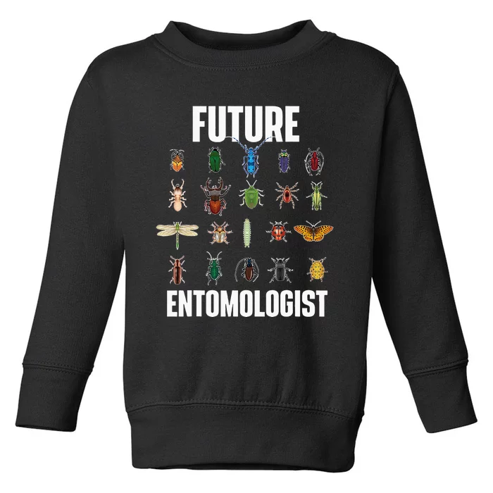 Future Entomologist Entomology Insect Lover Bug Collector Toddler Sweatshirt