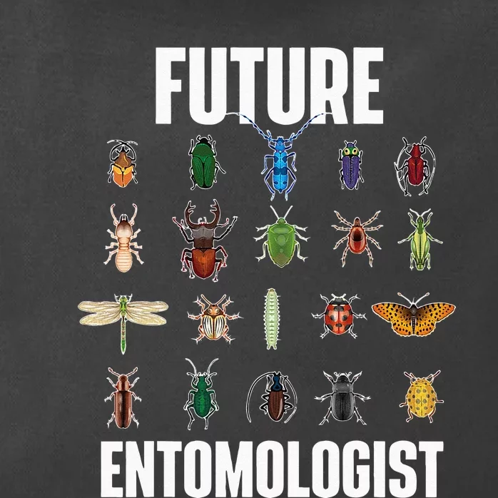 Future Entomologist Entomology Insect Lover Bug Collector Zip Tote Bag