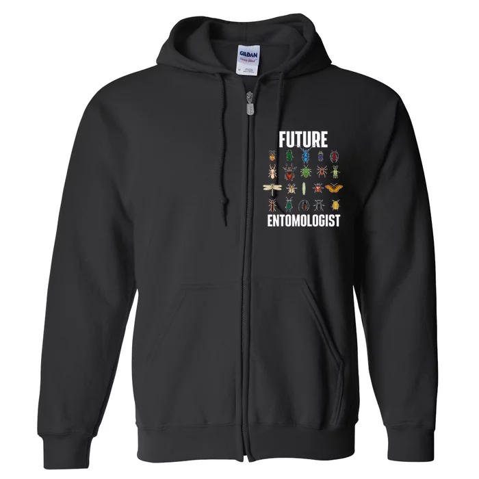 Future Entomologist Entomology Insect Lover Bug Collector Full Zip Hoodie